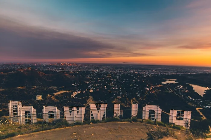 Los Angeles palms and skyline
